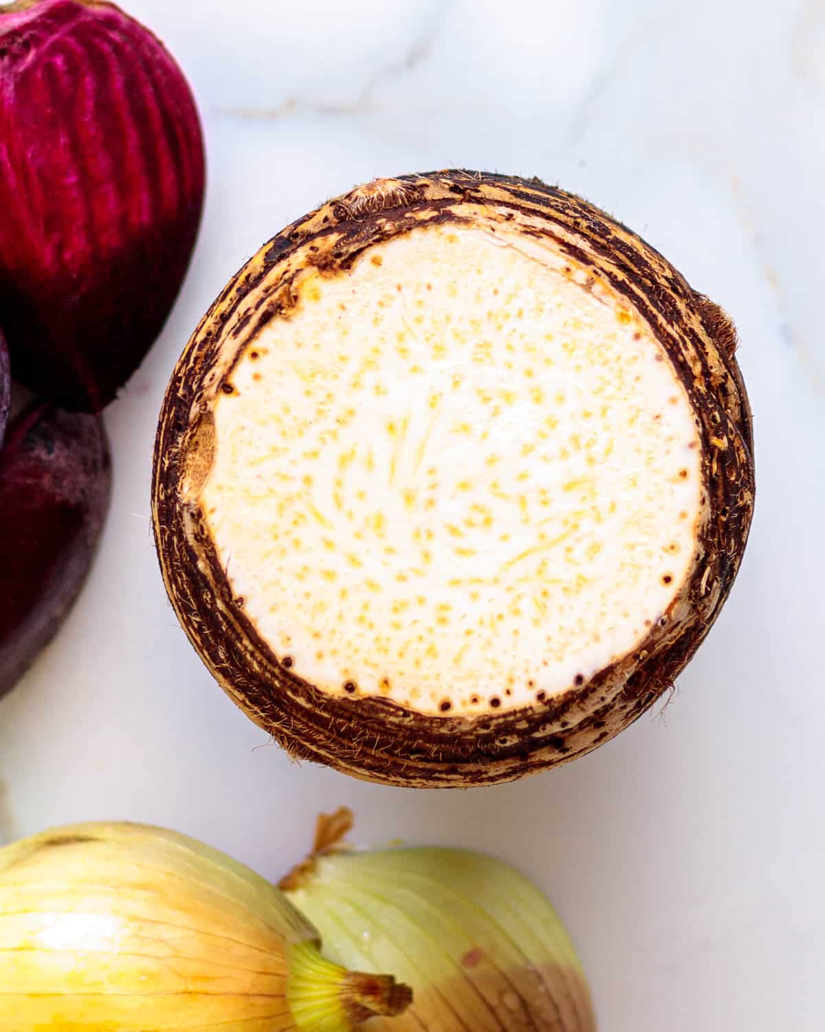 Cross section of Hawaiian taro root corm.