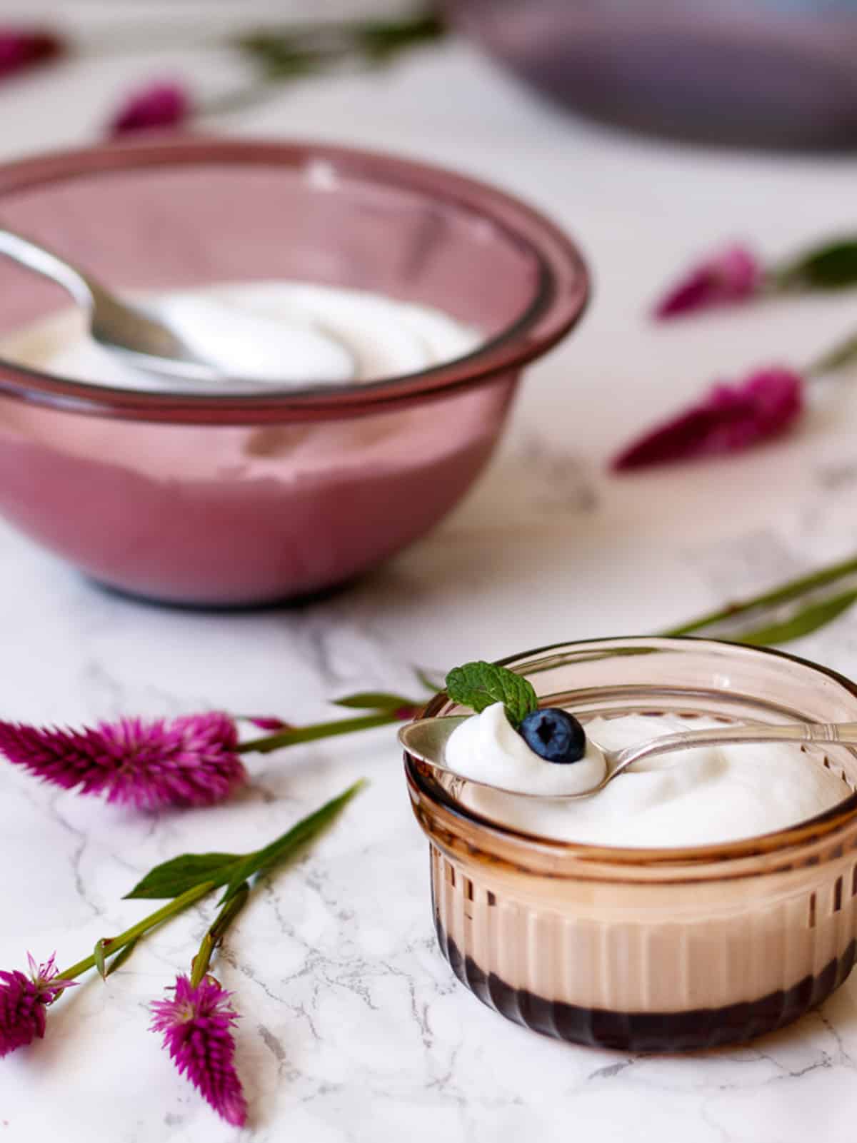 Coconut yogurt made with mesophilic starter.