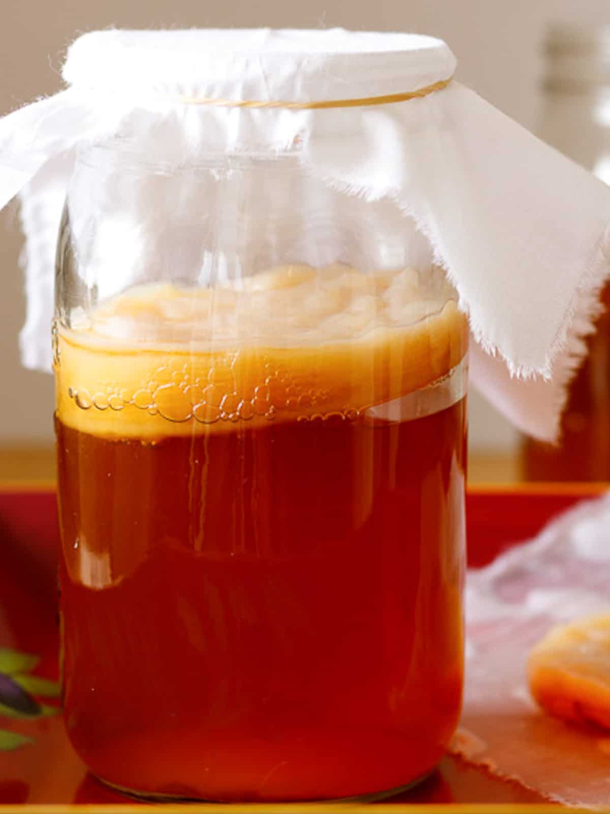 How To Make A Scoby - Simple Steps - Poppys Wild Kitchen