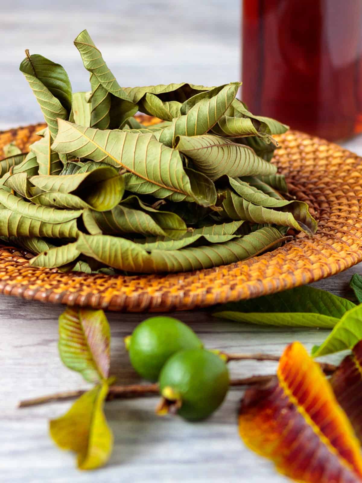 Dried guava leaves on a basket.