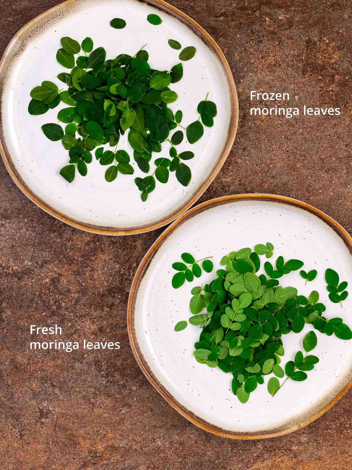 Comparison of fresh and frozen moringa leaves.