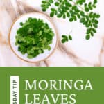 Moringa leaves on a plate with whole plant sprig to the side.