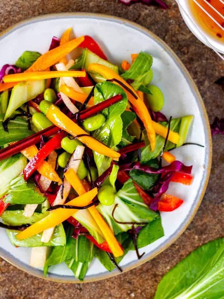 Healthy rainbow salad with sesame ginger dressing.