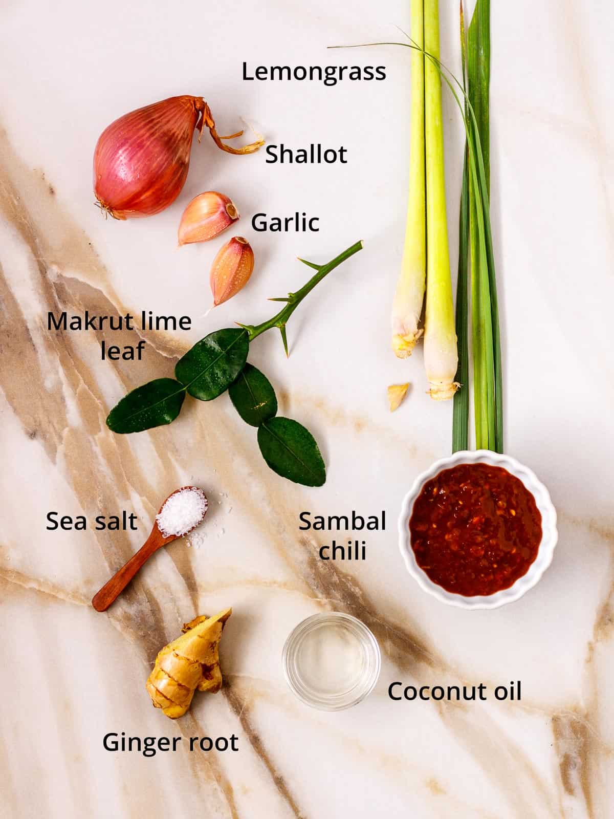 Seasoning ingredients for coconut milk pasta.