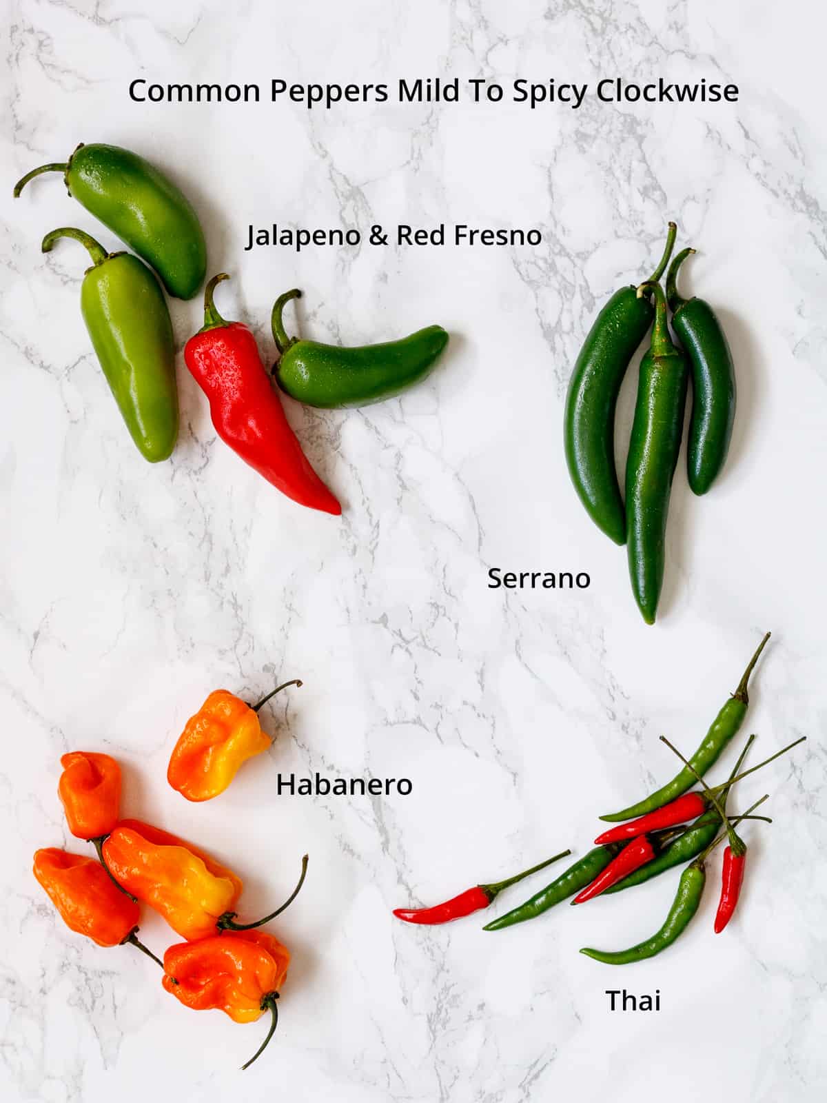 Picture guide to common peppers mild to spicy.