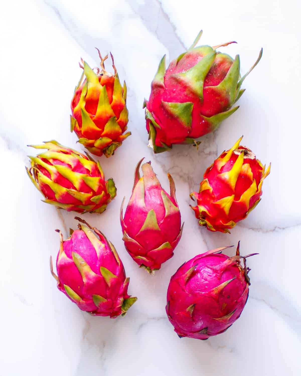 Four cultivars of hylocereus dragon fruit.