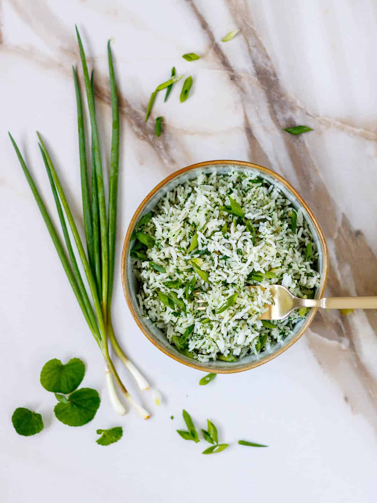 Bowl of green pulao rice with fresh spring onions on the side.