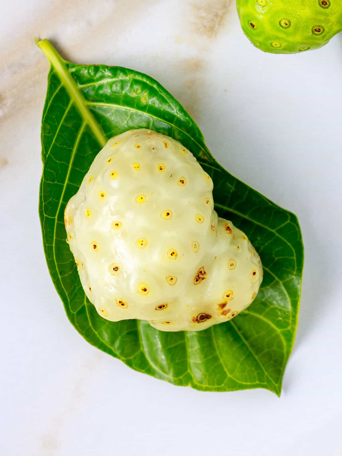 Ripe noni fruit is white, translucent and has a fragile skin.