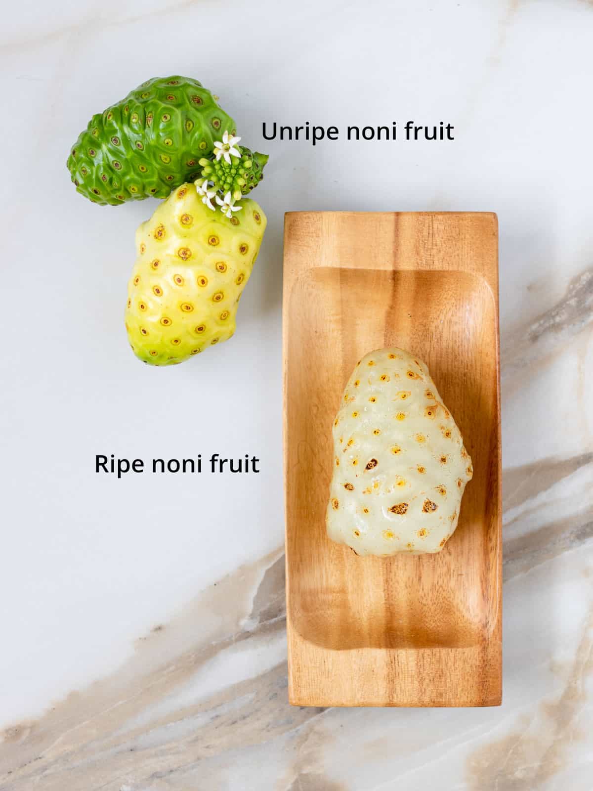 labeled display of ripe and unripe fruit.
