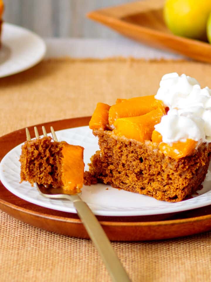 Slice of gingerbread spiced cake baked with fresh mango topping.