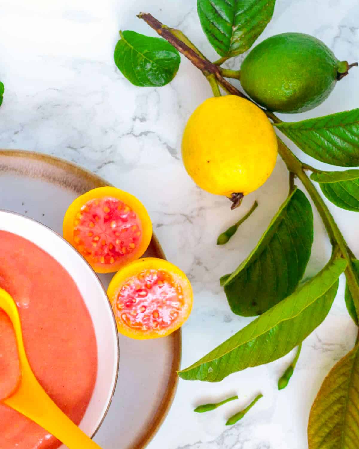 Yellow-skinned pink guava on branch with bowl of puree.