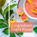 Bowl of freshly made raw guava puree with fruit on branch.
