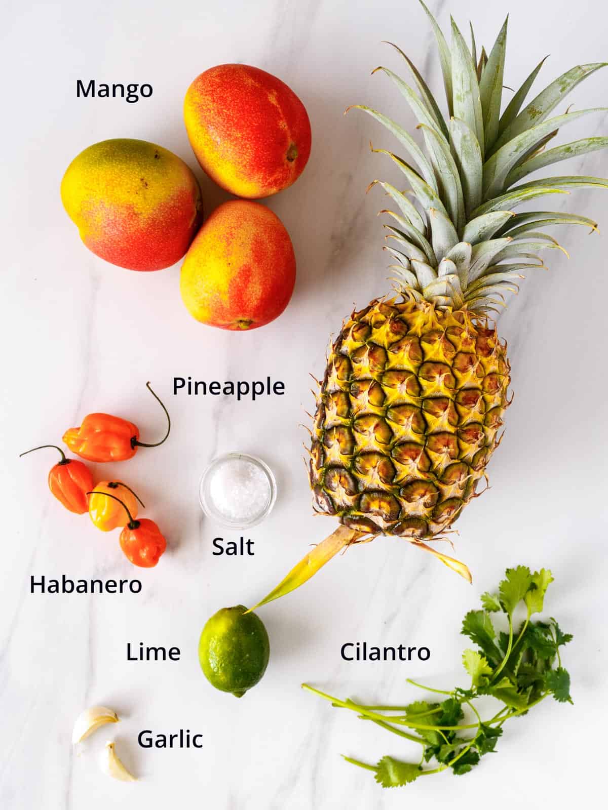Ingredients to make pineapple mango habanero salsa.