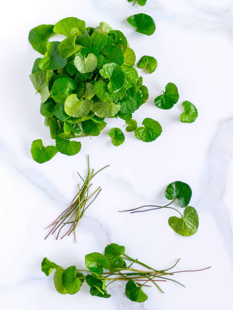 Separate stems from leaves when making salads from centella Asiatica.