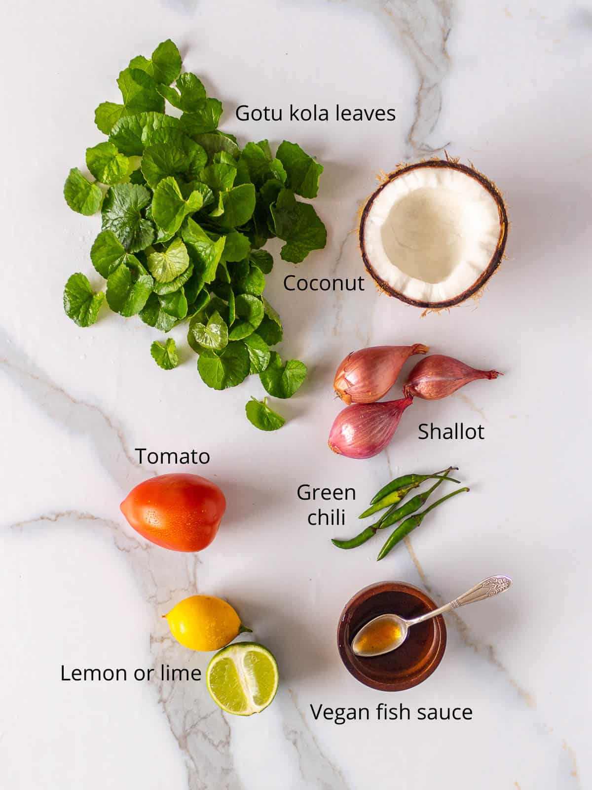 Labeled ingredients for sambol include gotu kola, coconut, lemon, shallot, chili and vegan fish sauce.