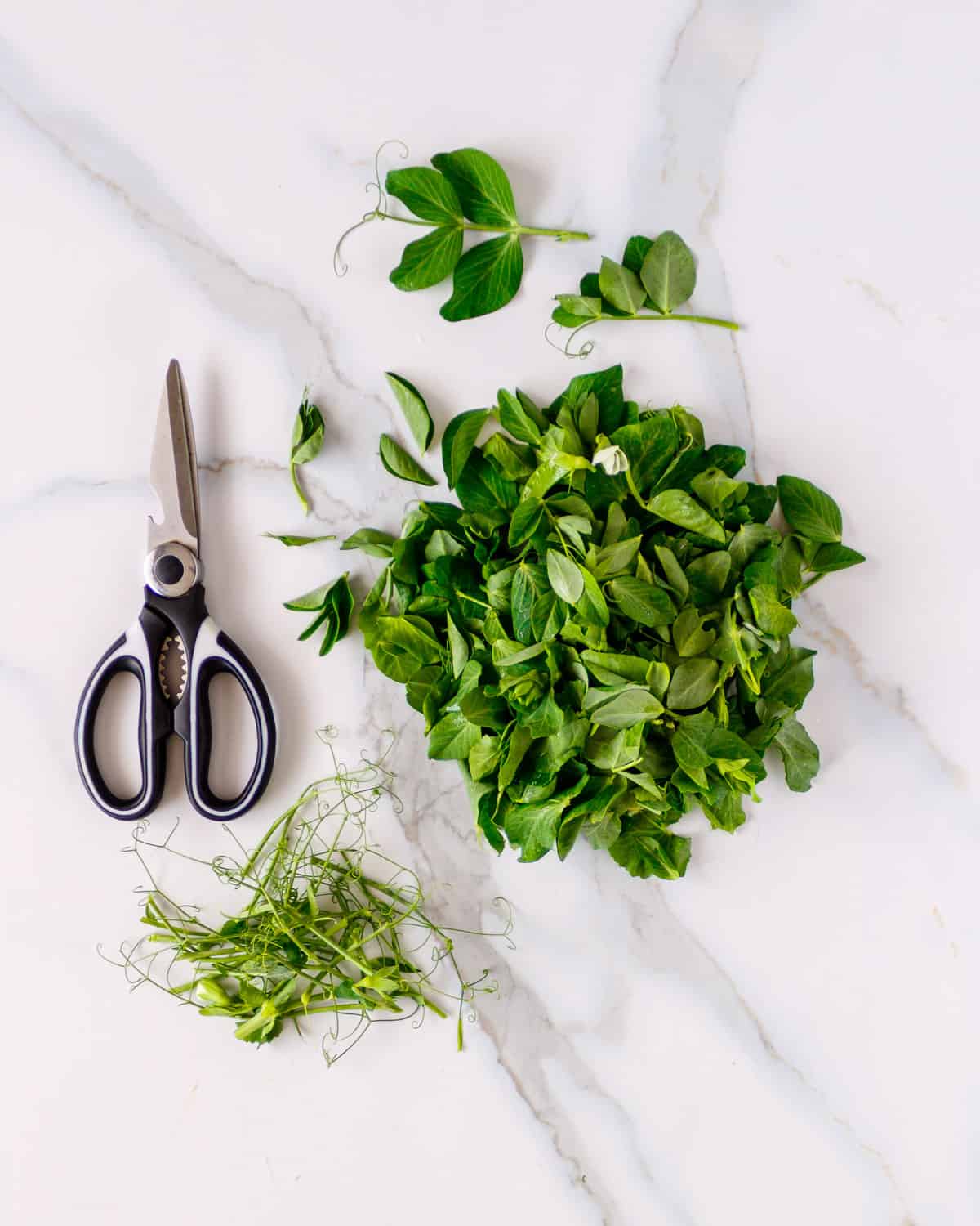 Remove tendrils and tough stems from snow pea leaves.